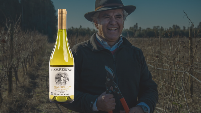 Campesino Chardonnay Gran Reserva