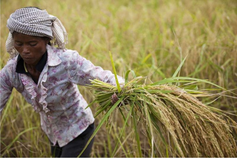 Oxfam investeert in agroecologie